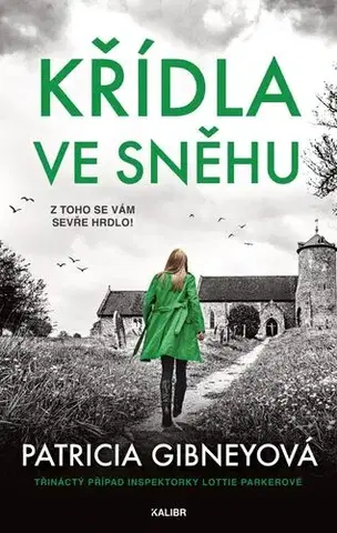 Detektívky, trilery, horory Křídla ve sněhu - Patricia Gibney