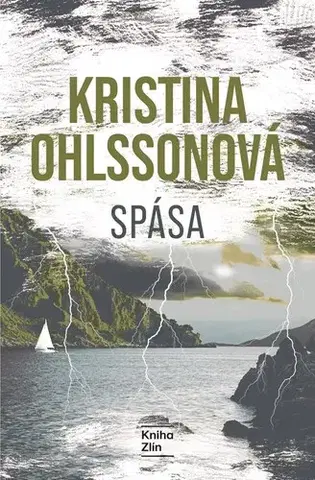Detektívky, trilery, horory Spása - Kristina Ohlsson,Martin Severýn,Viola Somogyi,Vendula Nováková