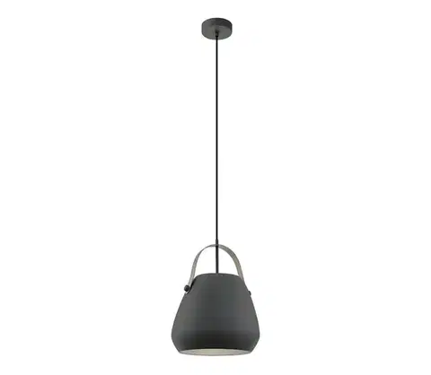 Svietidlá Eglo 98349 - Závesný luster BEDNALL na lanku 1xE27/60W/230V 98349