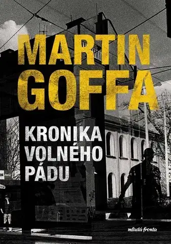 Detektívky, trilery, horory Kronika volného pádu - Martin Goffa