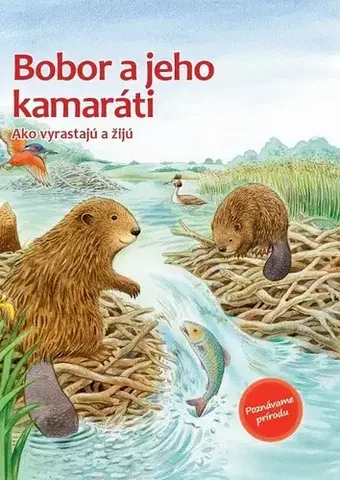 Rozprávky Bobor a jeho kamaráti
