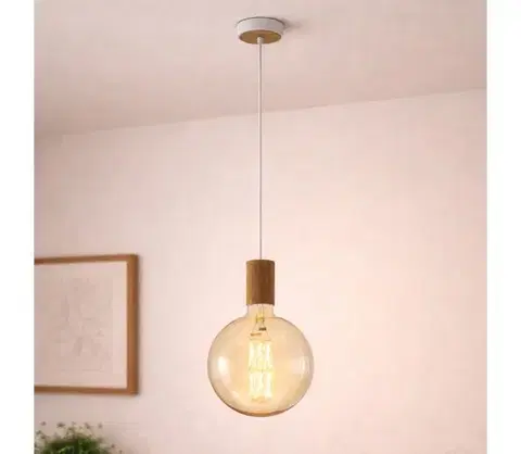 Svietidlá Eglo 49071 - Luster na lanku TAVISTOCK 1xE27/40W/230V 49071
