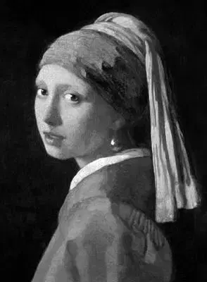 Výtvarné umenie Vermeer - Ludwig Goldscheider,Wayne Franits