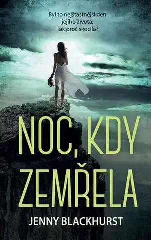 Detektívky, trilery, horory Noc, kdy zemřela - Jenny Blackhurst,Petra Krámková