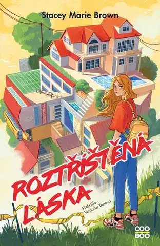 Young adults Roztříštěná láska - Stacey Marie Brown