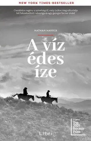 Svetová beletria A víz édes íze - Nathan Harris,Borbély Judit Bernadett