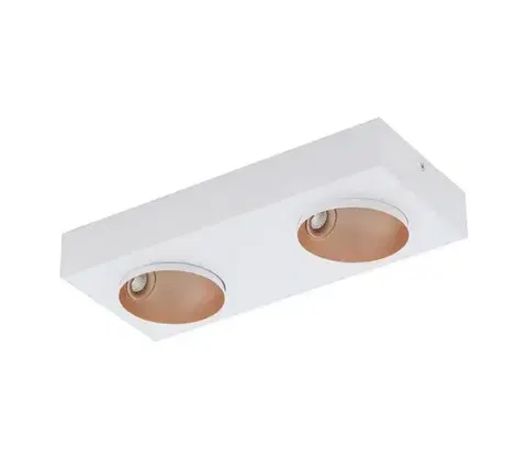 Svietidlá Eglo 39374 - LED Stmievateľné stropné svietidlo RONZANO 2xLED/3,3W/230V 39374