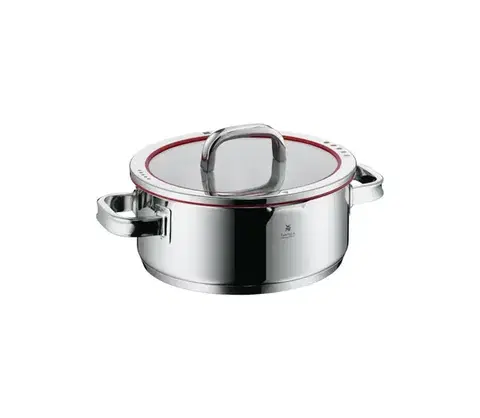 Panvice a hrnce WMF - Hrniec s pokrievkou FUNCTION pr. 24 cm 760246380