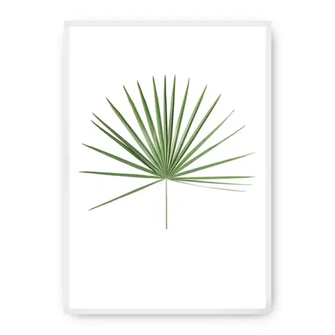 Obrazy Plagát Tropical Leaf Green
