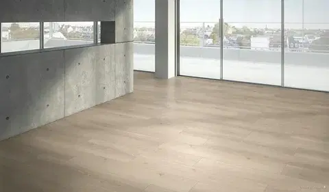 Basic 600 PARADOR Basic 600 Dub studioline pure natural jemne matná štruktúra 1748187