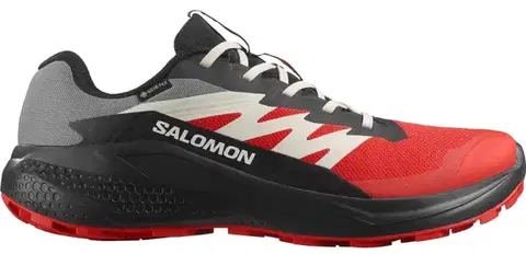 Trail Salomon Alphaglide GTX M Veľkosť: 44 EUR