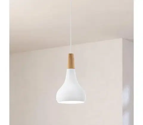 Svietidlá Eglo 901177-Luster na lanku SABINAR 1xE27/60W/230V pr.18cm biela 901177