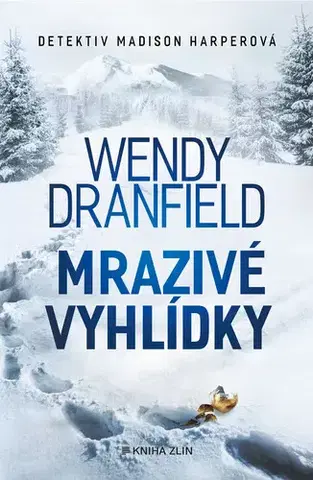 Beletria - ostatné Mrazivé vyhlídky - Wendy Dranfield