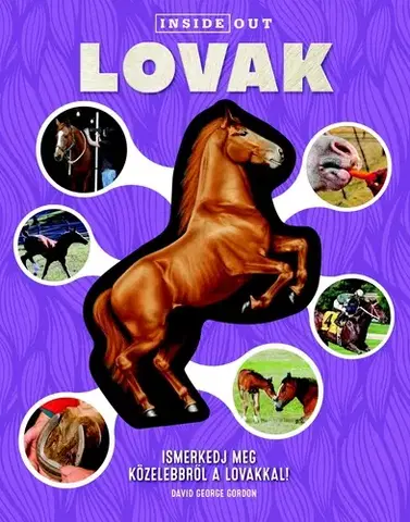 Príroda Lovak - Ismerkedj meg közelebbről a lovakkal!
