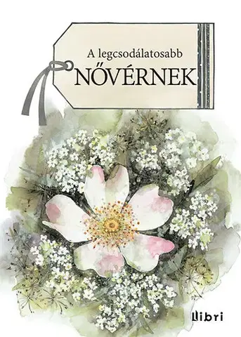Beletria A legcsodálatosabb nővérnek - Helen Exley