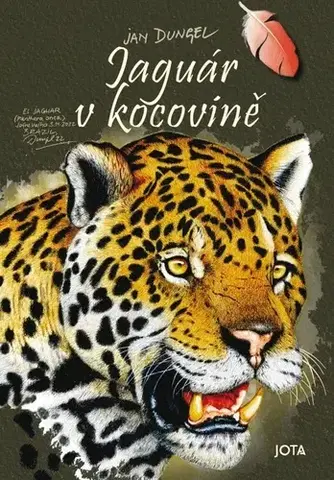 Cestopisy Jaguár v kocovině - Jan Dungel