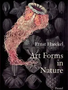 Umenie - ostatné Art Forms in Nature - Ernst Haeckel