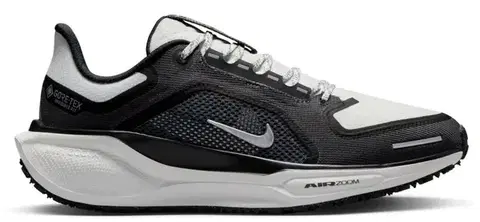 Cesta Nike Pegasus 41 GTX W Veľkosť: 42 EUR