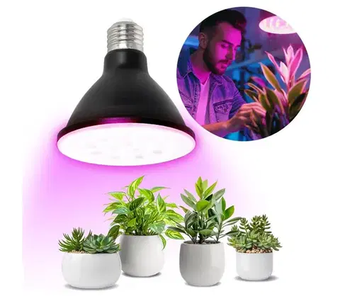 LED osvetlenie LED Žiarovka na rast rastlín VITABLOOM E27/9W/230V 1200K čierna - BRILAGI 004067