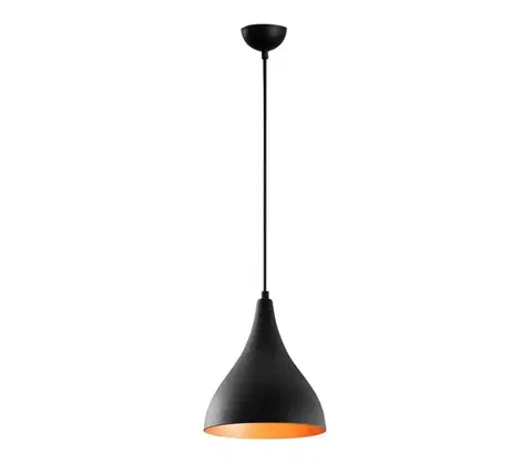 Svietidlá  Luster na lanku BERCESTE 1xE27/40W/230V 525NOR1646