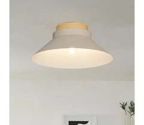 Svietidlá Eglo 900736 - Stropné svietidlo MOHARRAS 1xE27/40W/230V 900736
