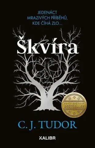 Detektívky, trilery, horory Škvíra - C. J. Tudor