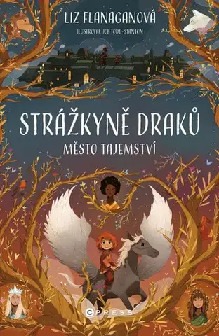 Young adults Strážkyně draků: Město tajemství - Liz Flanagan