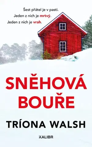 Detektívky, trilery, horory Sněhová bouře - Triona Walsh