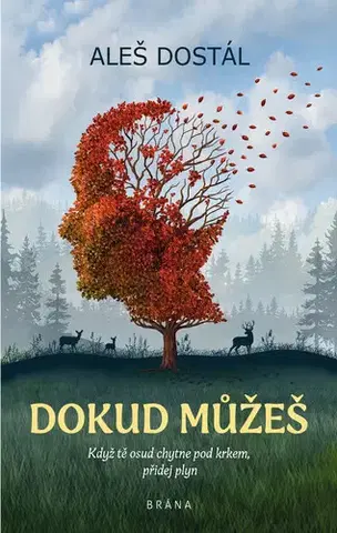 Romantická beletria Dokud můžeš - Aleš Dostál