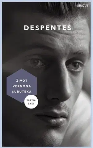 Svetová beletria Život Vernona Subutexa 3 - Virginie Despentesová,Aňa Ostrihoňová