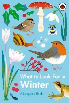 V cudzom jazyku What to Look For in Winter - Elizabeth Jenner,Natasha Durley
