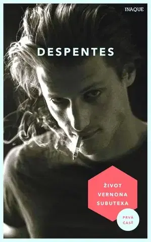 Svetová beletria Život Vernona Subutexa 1 - Virginie Despentesová,Aňa Ostrihoňová