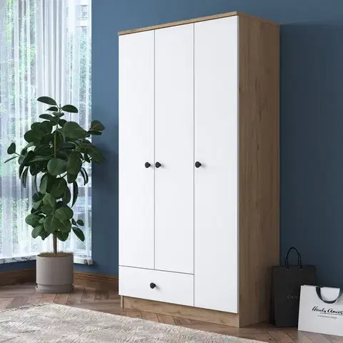 Šatňové skrine Šatníková skriňa BA117 - 2253