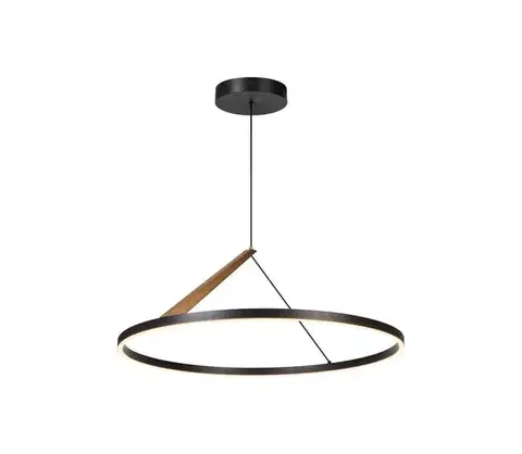 Svietidlá Rabalux 72352 - LED závesný luster na lanku RENARA LED/40W/230V 3000K 72352