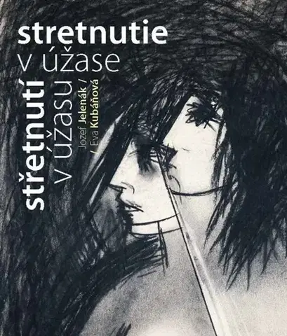 Slovenská poézia Stretnutie v úžase - Jozef Jelenák,Eva Kubáňová