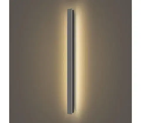 LED osvetlenie BRILAGI - LED Vonkajšie nástenné svietidlo LINEAR LED/22W/230V 3000K IP65 antracit BRI284