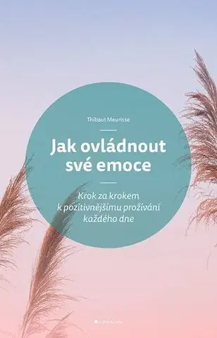 Rozvoj osobnosti Jak ovládnout své emoce - Meurisse Thibaut