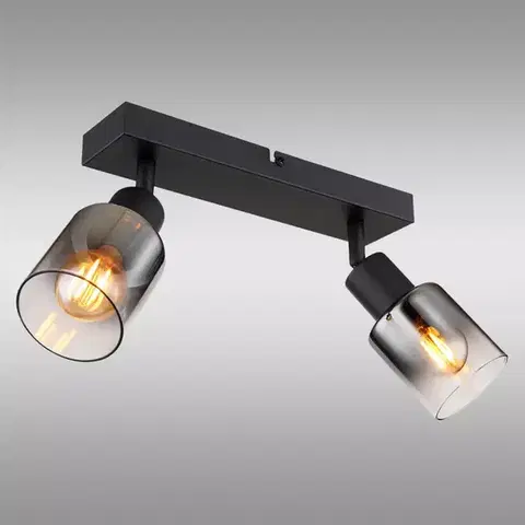 Lampy do obývačky Lampa Hubertus 54308-2 LS2