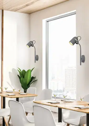 Nástenné svetlá Nástenná lampa 1xE14 sivá 40cm ŠEDÁ