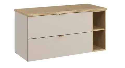 Skrinky do kúpeľne ArtCom Kúpeľňová skrinka s doskou DALIA Cashmere D100/1 | 100 cm
