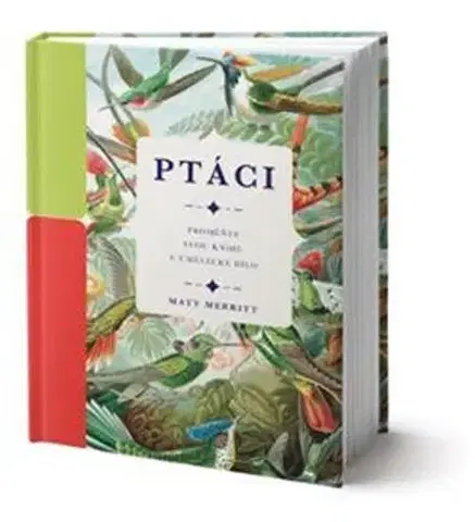 Príroda Ptáci - Matt Merritt