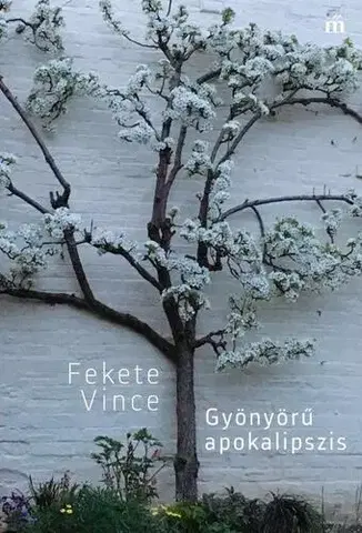 Svetová poézia Gyönyörű apokalipszis - Vince Fekete