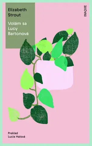 Svetová beletria Lucy Bartonová 1: Volám sa Lucy Bartonová - Elizabeth Stroutová,Lucia Halová