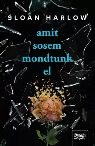 Detektívky, trilery, horory Amit sosem mondtunk el - Sloan Harlow