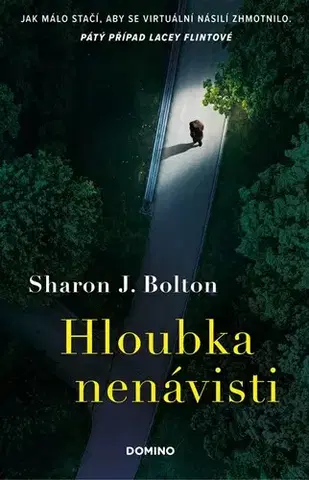 Detektívky, trilery, horory Hloubka nenávisti - Sharon J. Bolton