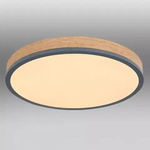 Lampy do obývačky Stropnica 416080WD2R LED 24W grafit PL