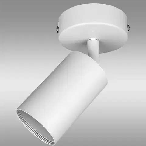 Lampy do obývačky Stropné bodové svietidlo VO2604 WHITE LS1