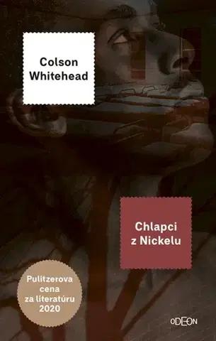Svetová beletria Chlapci z Nickelu - Colson Whitehead,Vladislav Gális