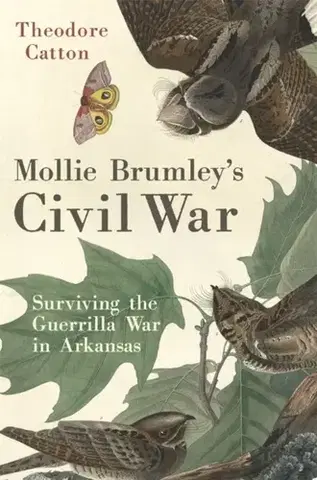 História Mollie Brumley's Civil War - Theodore Catton