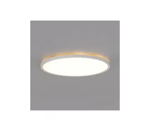 Svietidlá  LED kúpeľňové svietidlo NIVERA LED/32W/230V IP54 pr. 42 cm biele + DO 004108